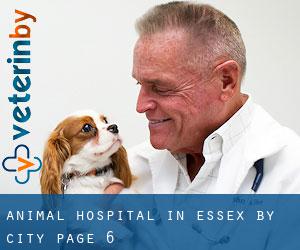 Animal Hospital in Essex by city - page 6