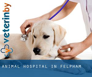 Animal Hospital in Felpham