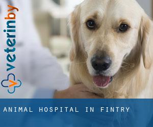 Animal Hospital in Fintry