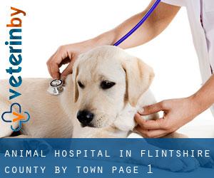 Animal Hospital in Flintshire County by town - page 1