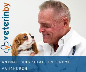 Animal Hospital in Frome Vauchurch