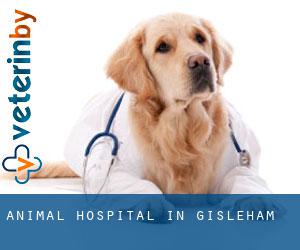 Animal Hospital in Gisleham