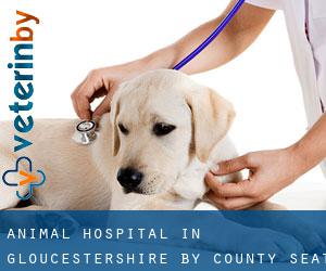 Animal Hospital in Gloucestershire by county seat - page 3
