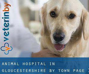 Animal Hospital in Gloucestershire by town - page 1