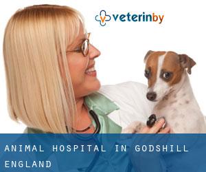 Animal Hospital in Godshill (England)