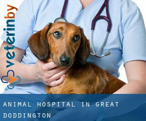 Animal Hospital in Great Doddington