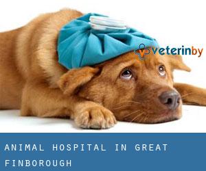 Animal Hospital in Great Finborough