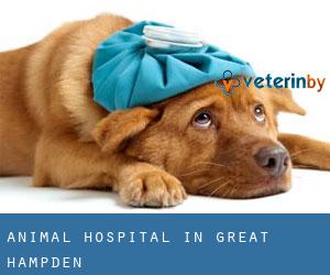 Animal Hospital in Great Hampden