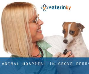 Animal Hospital in Grove Ferry