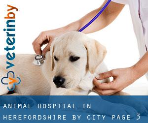Animal Hospital in Herefordshire by city - page 3