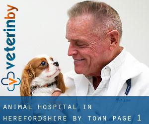 Animal Hospital in Herefordshire by town - page 1