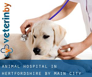 Animal Hospital in Hertfordshire by main city - page 3