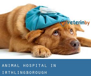 Animal Hospital in Irthlingborough