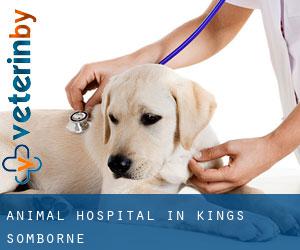 Animal Hospital in Kings Somborne