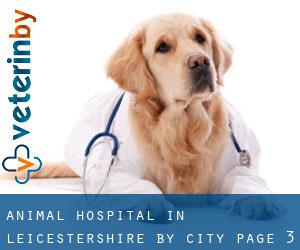 Animal Hospital in Leicestershire by city - page 3