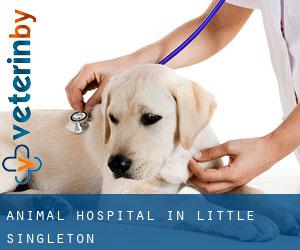 Animal Hospital in Little Singleton