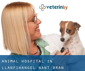 Animal Hospital in Llanfihangel-Nant-Brân