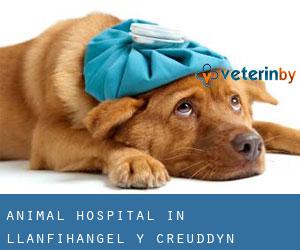Animal Hospital in Llanfihangel-y-creuddyn
