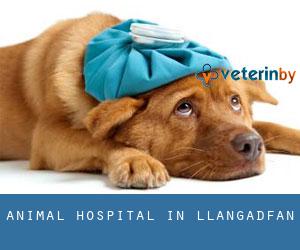 Animal Hospital in Llangadfan