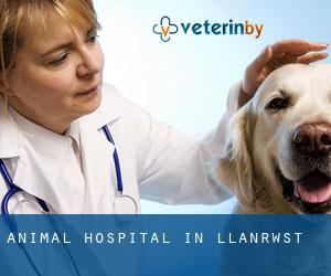 Animal Hospital in Llanrwst