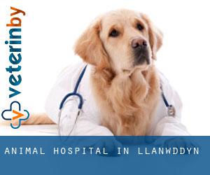 Animal Hospital in Llanwddyn