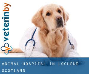 Animal Hospital in Lochend (Scotland)