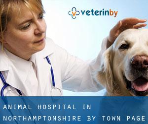 Animal Hospital in Northamptonshire by town - page 4