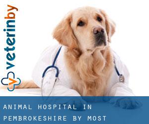 Animal Hospital in Pembrokeshire by most populated area - page 2