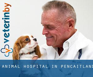 Animal Hospital in Pencaitland