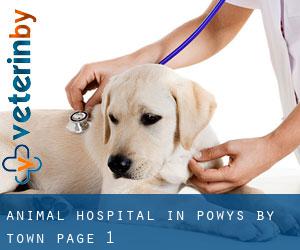 Animal Hospital in Powys by town - page 1