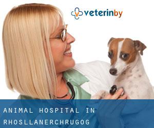 Animal Hospital in Rhosllanerchrugog Animal Hospital in Rhosllanerchrugog