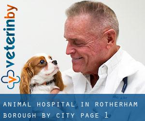 Animal Hospital in Rotherham (Borough) by city - page 1