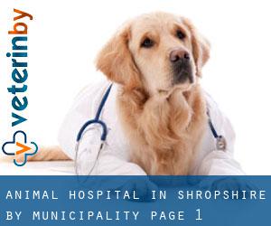Animal Hospital in Shropshire by municipality - page 1