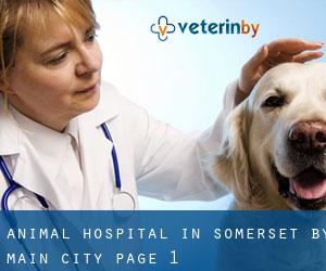 Animal Hospital in Somerset by main city - page 1