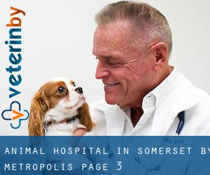 Animal Hospital in Somerset by metropolis - page 3
