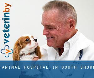 Animal Hospital in South Shore