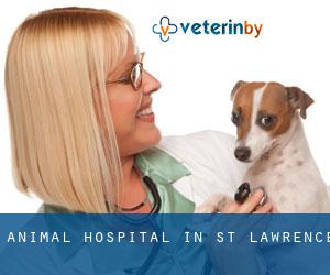 Animal Hospital in St Lawrence