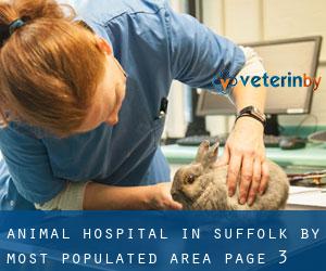 Animal Hospital in Suffolk by most populated area - page 3