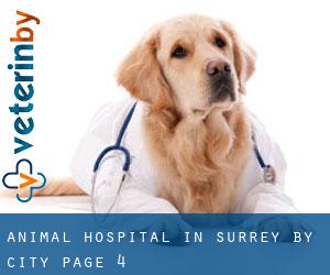 Animal Hospital in Surrey by city - page 4
