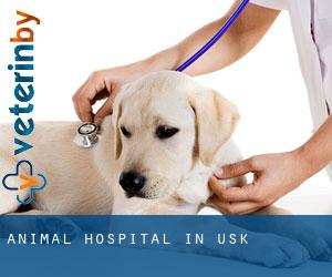 Animal Hospital in Usk