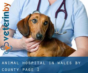 Animal Hospital in Wales by County - page 1
