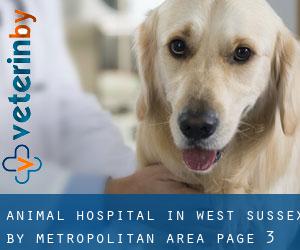 Animal Hospital in West Sussex by metropolitan area - page 3