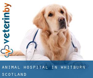 Animal Hospital in Whitburn (Scotland)
