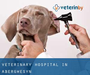 Veterinary Hospital in Abergwesyn