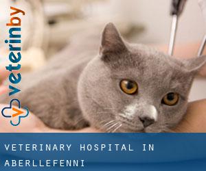 Veterinary Hospital in Aberllefenni