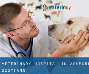 Veterinary Hospital in Achmore (Scotland)