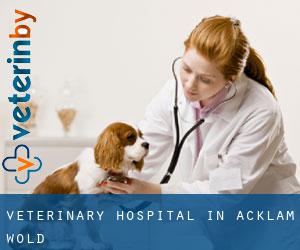 Veterinary Hospital in Acklam Wold