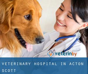 Veterinary Hospital in Acton Scott