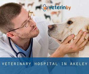 Veterinary Hospital in Akeley