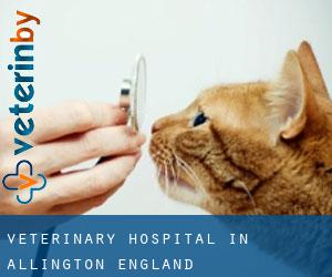 Veterinary Hospital in Allington (England)